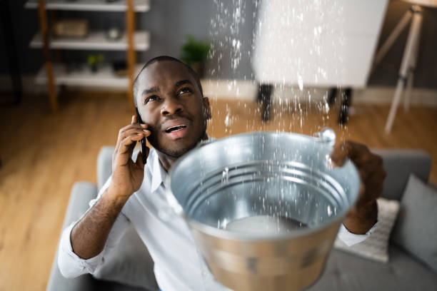 Trusted La Joya, TX Water damage restoration Experts
