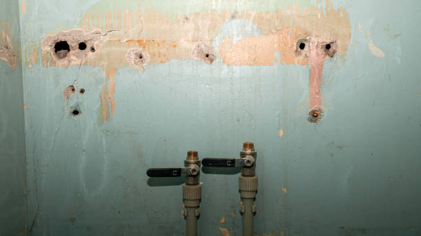 Best Ceiling water damage repair  in La Joya, TX