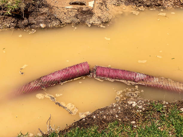 Best Water damage restoration near me  in La Joya, TX