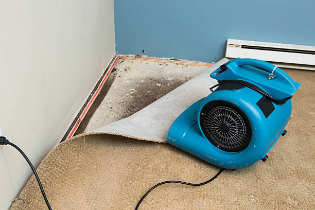 Fire Damage Restoration in La Joya, TX